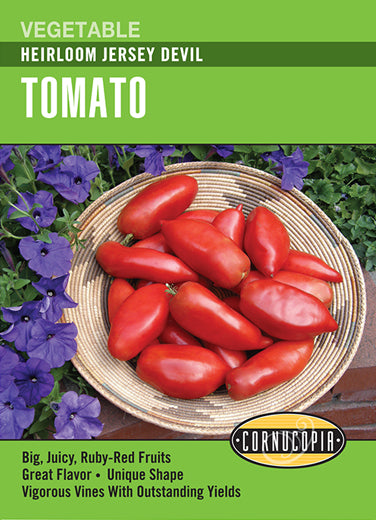 Visuel officiel de Cornucopia associé aux semences de Tomate ‘Jersey Devil’, référence CS318. Cette référence propose la variété de tomate Jersey Devil. Elle se cultive dans un emplacement chaud et lumineux, avec un sol fertile pour soutenir le développement des fruits. Cette image accompagne la fiche de cette sélection et permet de repérer le produit correspondant dans le catalogue de semences.