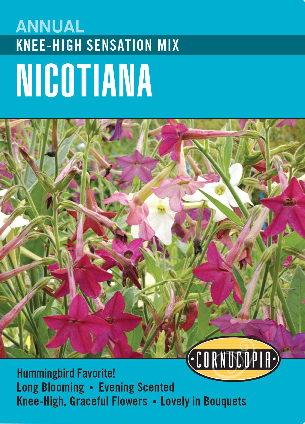 Visuel officiel de Cornucopia associé aux semences de Tabac d’ornement Sensation, référence CS319. Ce mélange propose des tabacs d’ornement de différentes couleurs sous le nom Sensation. Les fleurs apportent une silhouette légère aux plantations saisonnières. Cette image accompagne la fiche de cette sélection et permet de repérer le produit correspondant dans le catalogue de semences.