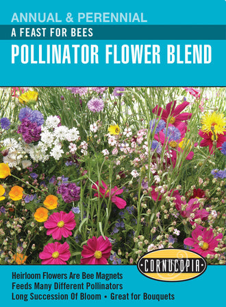 Visuel officiel de Cornucopia associé aux semences de Mélange de fleurs pour abeilles, référence CS320. Ce mélange est destiné à la création d’une plantation fleurie accueillant les abeilles. La diversité des fleurs permet de compléter les ressources florales du jardin. Cette image accompagne la fiche de cette sélection et permet de repérer le produit correspondant dans le catalogue de semences.
