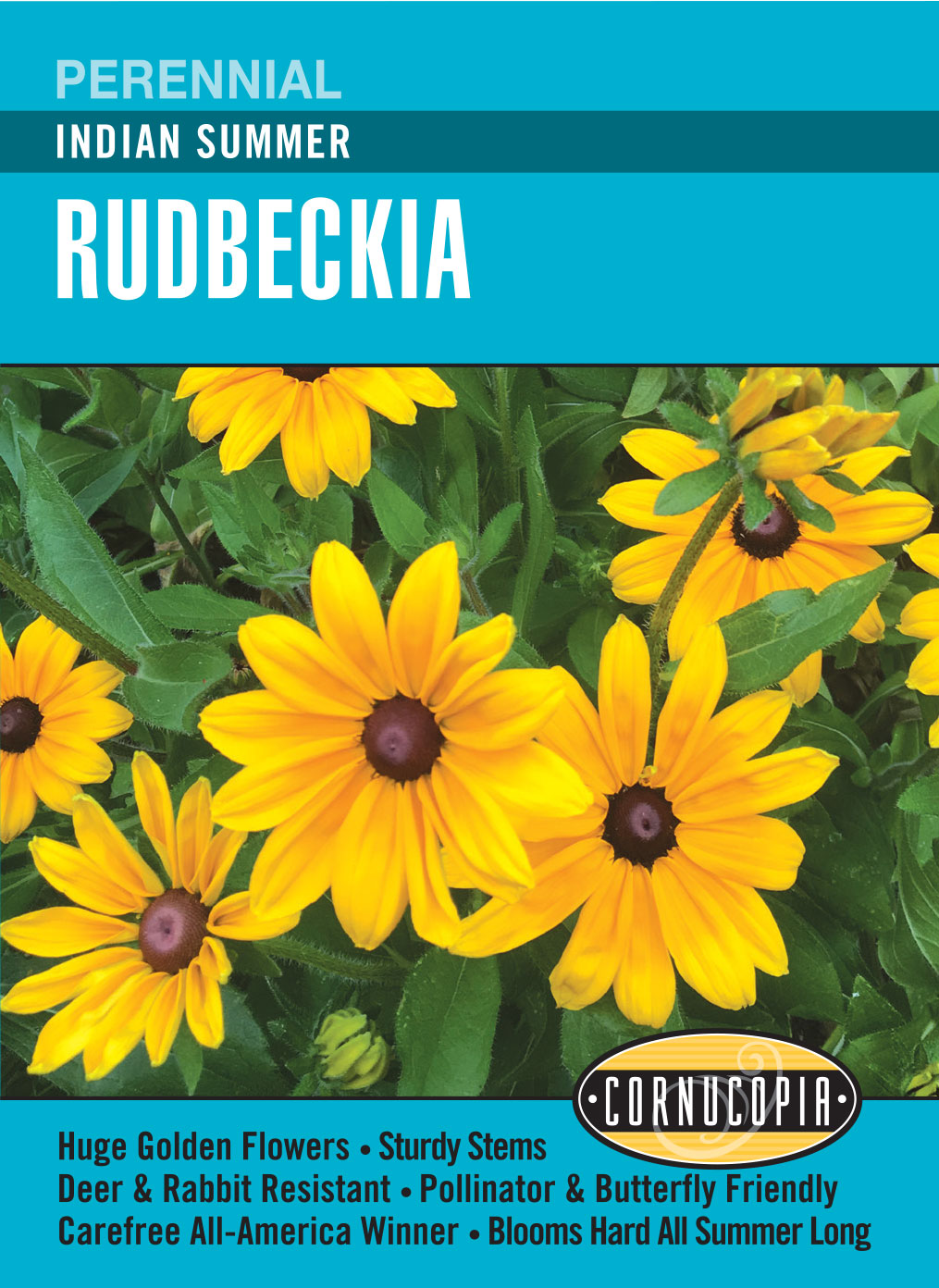 Visuel officiel de Cornucopia associé aux semences de Rudbeckie ‘Indian Summer’, référence CS326. Cette référence propose la variété de rudbeckie Indian Summer. Elle est destinée aux massifs fleuris et aux plantations décoratives de la belle saison. Cette image accompagne la fiche de cette sélection et permet de repérer le produit correspondant dans le catalogue de semences.