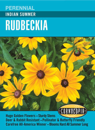 Visuel officiel de Cornucopia associé aux semences de Rudbeckie ‘Indian Summer’, référence CS326. Cette référence propose la variété de rudbeckie Indian Summer. Elle est destinée aux massifs fleuris et aux plantations décoratives de la belle saison. Cette image accompagne la fiche de cette sélection et permet de repérer le produit correspondant dans le catalogue de semences.