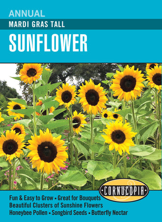 Visuel officiel de Cornucopia associé aux semences de Tournesol Mardi Gras, référence CS327. Cette référence propose des tournesols sous le nom Mardi Gras. Les fleurs apportent une présence estivale aux plantations et peuvent entrer dans les compositions florales. Cette image accompagne la fiche de cette sélection et permet de repérer le produit correspondant dans le catalogue de semences.
