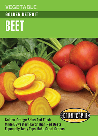 Visuel officiel de Cornucopia associé aux semences de Betterave ‘Golden Detroit’, référence CS329. Cette sélection de betterave figure dans la gamme potagère Cornucopia. Elle se cultive pour ses racines et permet de diversifier un rang de betteraves au potager. Cette image accompagne la fiche de cette sélection et permet de repérer le produit correspondant dans le catalogue de semences.