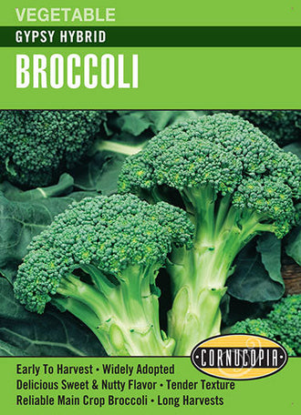Visuel officiel de Cornucopia associé aux semences de Brocoli ‘Gypsy’, référence CS336. Cette référence propose un brocoli hybride nommé Gypsy. Il se cultive au potager pour ses inflorescences récoltées avant l’ouverture des fleurs. Cette image accompagne la fiche de cette sélection et permet de repérer le produit correspondant dans le catalogue de semences.