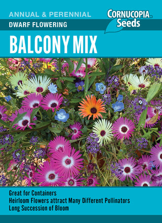 Visuel officiel de Cornucopia associé aux semences de Mélange de fleurs Balcony, référence CS355. Ce mélange réunit seize fleurs adaptées à la culture en contenant. Les formes et les couleurs variées décorent les terrasses et les balcons. Les floraisons attirent les abeilles et d’autres pollinisateurs. Cette image accompagne la fiche de cette sélection et permet de repérer le produit correspondant dans le catalogue de semences.