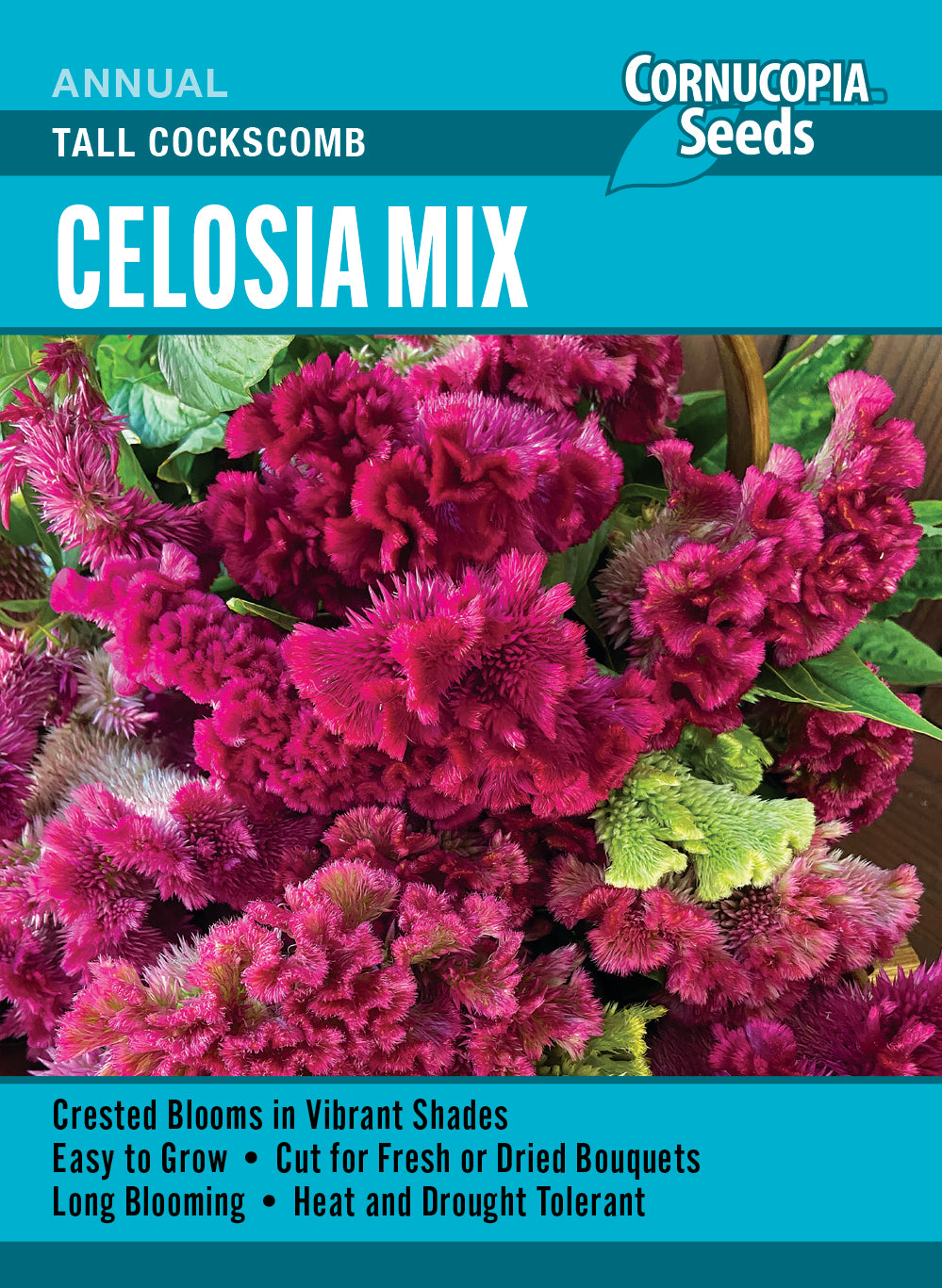 Visuel officiel de Cornucopia associé aux semences de Célosie crête-de-coq Tall Cockscomb Mix, référence CS356. Ce mélange présente des inflorescences crêtées aux couleurs magenta, jaune lime et bordeaux. Les plantes fleurissent pendant l’été et tolèrent la chaleur. Leurs formes donnent du relief aux massifs et aux bordures. Cette image accompagne la fiche de cette sélection et permet de repérer le produit correspondant dans le catalogue de semences.