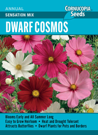 Visuel officiel de Cornucopia associé aux semences de Cosmos nain Dwarf Sensation Mix, référence CS357. Les fleurs roses, rose soutenu et blanches dominent un feuillage finement découpé. Les plantes naines conviennent aux contenants et aux bordures. Le port léger accompagne les plantations de fleurs d’été. Cette image accompagne la fiche de cette sélection et permet de repérer le produit correspondant dans le catalogue de semences.