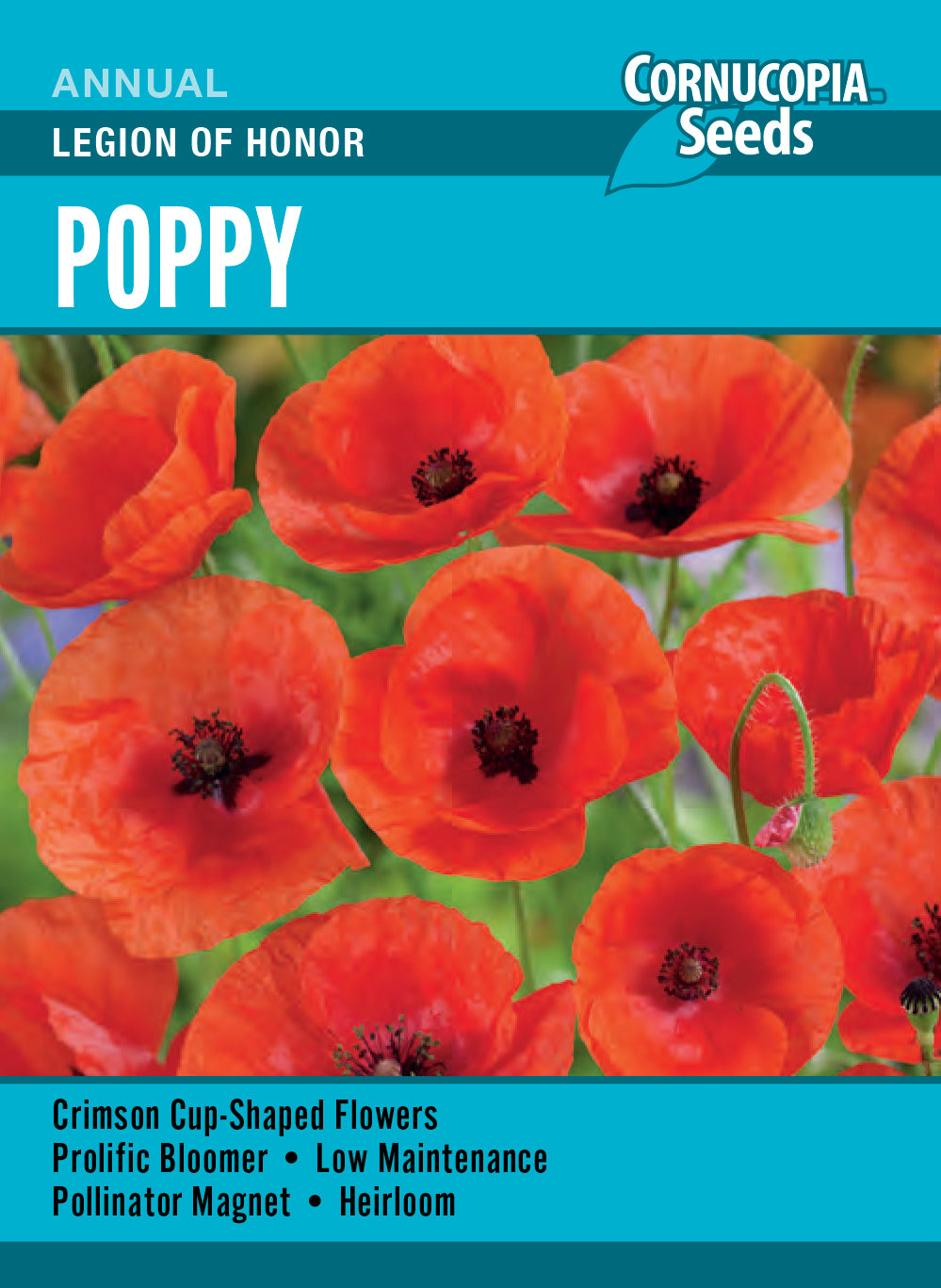 Visuel officiel de Cornucopia associé aux semences de Coquelicot ‘Legion of Honor’, référence CS358. Les fleurs simples en coupe présentent une couleur cramoisie. Cette variété ancienne se cultive au soleil et peut se ressemer lorsque les capsules arrivent à maturité. Cette image accompagne la fiche de cette sélection et permet de repérer le produit correspondant dans le catalogue de semences.