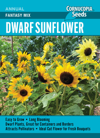 Visuel officiel de Cornucopia associé aux semences de Tournesol nain Dwarf Fantasy Mix, référence CS359. Ce mélange présente des fleurs jaune clair et orange sur des tiges bien ramifiées. Le format convient aux contenants et aux bordures. Les fleurs attirent les pollinisateurs et les capitules produisent des graines pour les oiseaux.