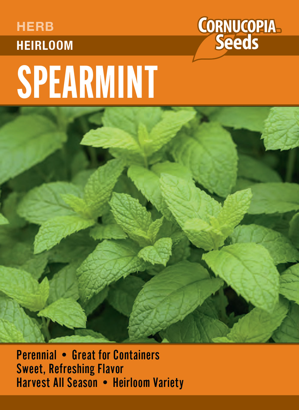 Visuel officiel de Cornucopia associé aux semences de Menthe verte, référence CS361. Les feuilles vert vif et dentées dégagent un parfum frais. Elles accompagnent les salades, les préparations cuites et les infusions. Des récoltes régulières permettent de disposer de jeunes feuilles durant la saison. Cette image accompagne la fiche de cette sélection et permet de repérer le produit correspondant dans le catalogue de semences.