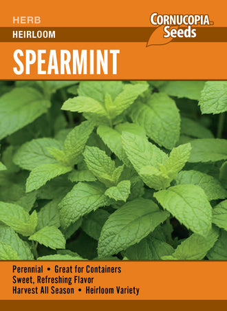 Visuel officiel de Cornucopia associé aux semences de Menthe verte, référence CS361. Les feuilles vert vif et dentées dégagent un parfum frais. Elles accompagnent les salades, les préparations cuites et les infusions. Des récoltes régulières permettent de disposer de jeunes feuilles durant la saison. Cette image accompagne la fiche de cette sélection et permet de repérer le produit correspondant dans le catalogue de semences.