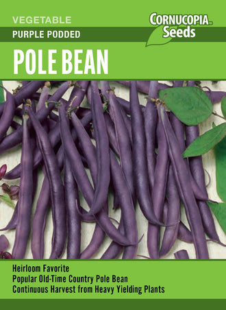 Visuel officiel de Cornucopia associé aux semences de Haricot grimpant ‘Purple Podded’, référence CS364. Les fleurs lilas sont suivies de gousses pourpres charnues qui deviennent vertes à la cuisson. Les tiges atteignent environ 1,8 à 2,1 m (6 à 7 pi). Le semencier annonce une maturité autour de 70 jours.