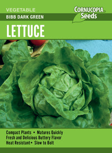 Visuel officiel de Cornucopia associé aux semences de Laitue ‘Bibb Dark Green’, référence CS366. Les petites pommes de type beurre atteignent environ 9 cm (3½ po) de largeur. Les feuilles extérieures vert foncé entourent un cœur jaune crème. Leur texture croquante et leur saveur douce conviennent aux salades individuelles. Cette image accompagne la fiche de cette sélection et permet de repérer le produit correspondant dans le catalogue de semences.