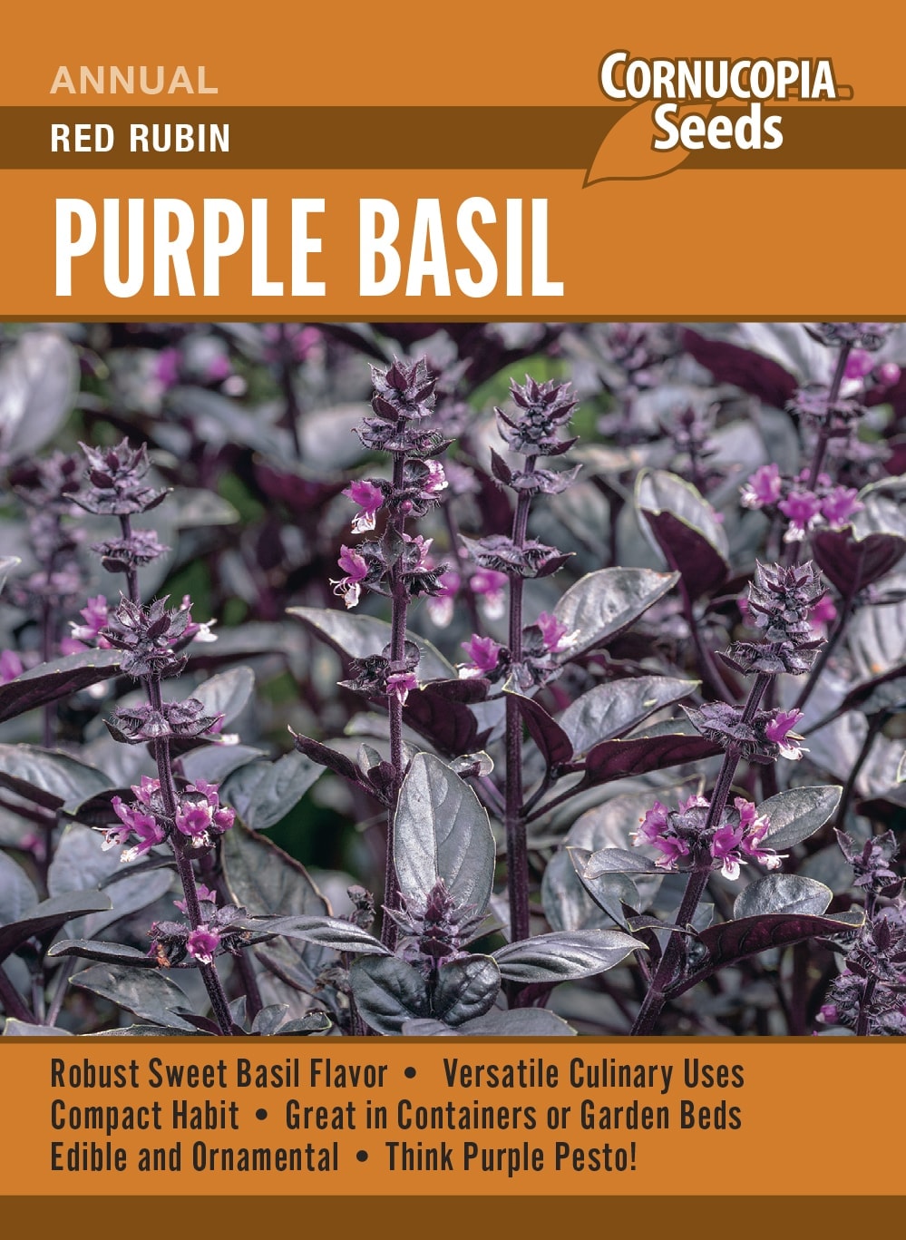 Visuel officiel de Cornucopia associé aux semences de Basilic ‘Red Rubin’, référence CS374. Le semencier recommande de pincer les tiges et les hampes florales pour favoriser la ramification et la production de feuilles. La récolte se fait au-dessus d’une paire de feuilles, afin de conserver des points de croissance. Cette image accompagne la fiche de cette sélection et permet de repérer le produit correspondant dans le catalogue de semences.