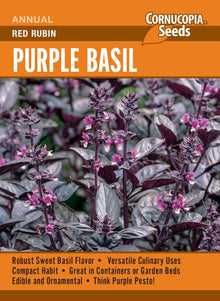 Visuel officiel de Cornucopia associé aux semences de Basilic ‘Red Rubin’, référence CS374. Le semencier recommande de pincer les tiges et les hampes florales pour favoriser la ramification et la production de feuilles. La récolte se fait au-dessus d’une paire de feuilles, afin de conserver des points de croissance. Cette image accompagne la fiche de cette sélection et permet de repérer le produit correspondant dans le catalogue de semences.