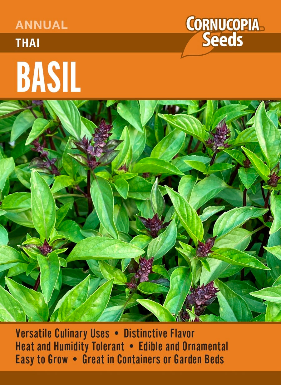 Visuel officiel de Cornucopia associé aux semences de Basilic thaï, référence CS375. Ce basilic se cultive dans un sol fertile pendant la saison chaude. Les récoltes régulières au-dessus d’une paire de feuilles favorisent la ramification. Les feuilles aromatiques sont destinées aux préparations culinaires. Cette image accompagne la fiche de cette sélection et permet de repérer le produit correspondant dans le catalogue de semences.