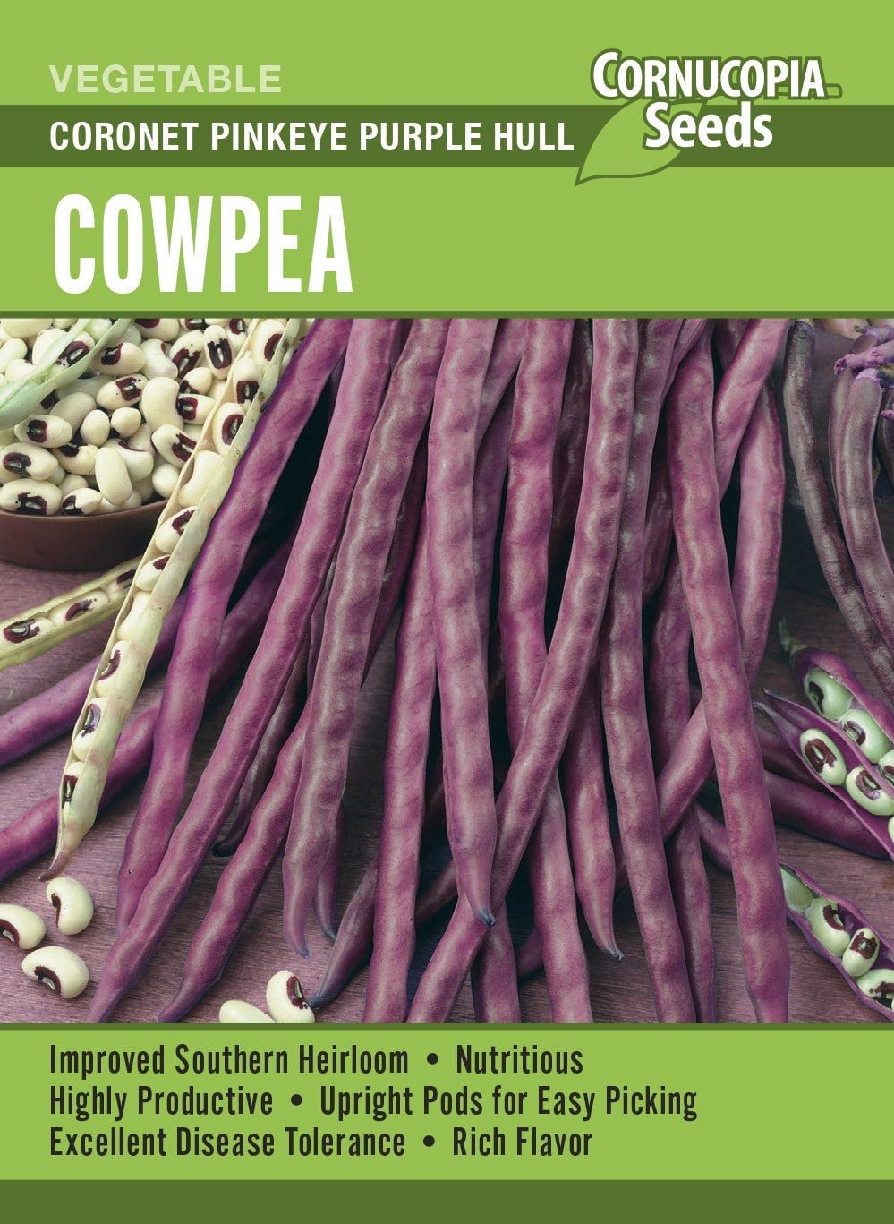Visuel officiel de Cornucopia associé aux semences de Niébé ‘Coronet Pinkeye Purple Hull’, référence CS376. Ce niébé est une culture de saison chaude destinée aux grains frais ou secs. Pour une récolte fraîche, les grains doivent remplir la gousse tout en restant tendres. Pour les grains secs, les gousses mûrissent et sèchent sur la plante.
