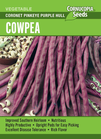 Visuel officiel de Cornucopia associé aux semences de Niébé ‘Coronet Pinkeye Purple Hull’, référence CS376. Ce niébé est une culture de saison chaude destinée aux grains frais ou secs. Pour une récolte fraîche, les grains doivent remplir la gousse tout en restant tendres. Pour les grains secs, les gousses mûrissent et sèchent sur la plante.
