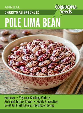 Visuel officiel de Cornucopia associé aux semences de Haricot de Lima ‘Christmas Speckled’, référence CS377. Cette sélection de haricot de Lima se cultive pendant la saison chaude. Les grains peuvent être récoltés à écosser ou laissés à maturité pour être séchés. Le semencier recommande un sol fertile, drainé et maintenu régulièrement humide.