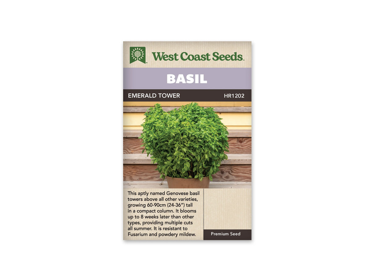 Sachet West Coast Seeds de Basilic ‘Emerald Tower’, présenté de face sur fond blanc. Un basilic très fourni apparaît dans un pot brun, devant un revêtement horizontal jaune et des planches de bois. Les nombreuses tiges portent de petites feuilles vertes et composent une masse verticale dense. Un bandeau mauve indique BASIL, au-dessus du nom imprimé sur fond foncé. Le bas beige contient un texte descriptif en anglais.