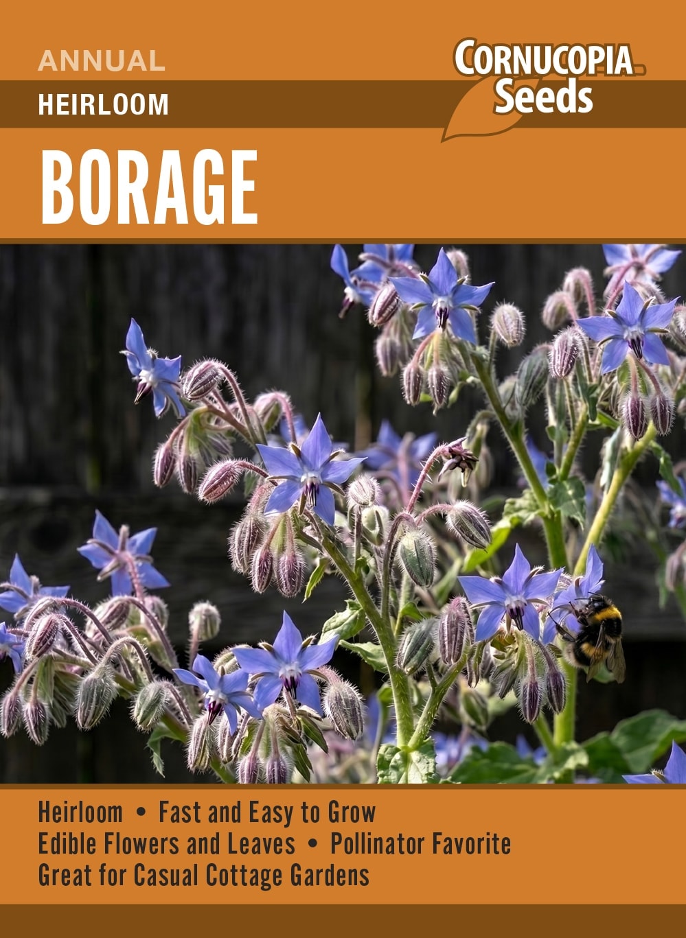 Visuel officiel de Cornucopia associé aux semences de Bourrache à fleurs bleues, référence CS380. Cette bourrache se sème directement en place, car sa racine pivotante supporte mal le repiquage. Les plantes peuvent se ressemer lorsque les graines mûrissent. Un éclaircissage laisse aux touffes l’espace nécessaire pour se développer. Cette image accompagne la fiche de cette sélection et permet de repérer le produit correspondant dans le catalogue de semences.