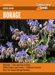 Visuel officiel de Cornucopia associé aux semences de Bourrache à fleurs bleues, référence CS380. Cette bourrache se sème directement en place, car sa racine pivotante supporte mal le repiquage. Les plantes peuvent se ressemer lorsque les graines mûrissent. Un éclaircissage laisse aux touffes l’espace nécessaire pour se développer. Cette image accompagne la fiche de cette sélection et permet de repérer le produit correspondant dans le catalogue de semences.
