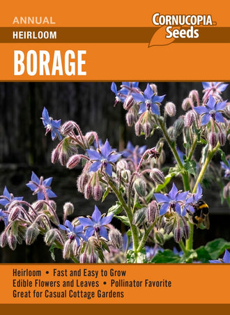 Visuel officiel de Cornucopia associé aux semences de Bourrache à fleurs bleues, référence CS380. Cette bourrache se sème directement en place, car sa racine pivotante supporte mal le repiquage. Les plantes peuvent se ressemer lorsque les graines mûrissent. Un éclaircissage laisse aux touffes l’espace nécessaire pour se développer. Cette image accompagne la fiche de cette sélection et permet de repérer le produit correspondant dans le catalogue de semences.