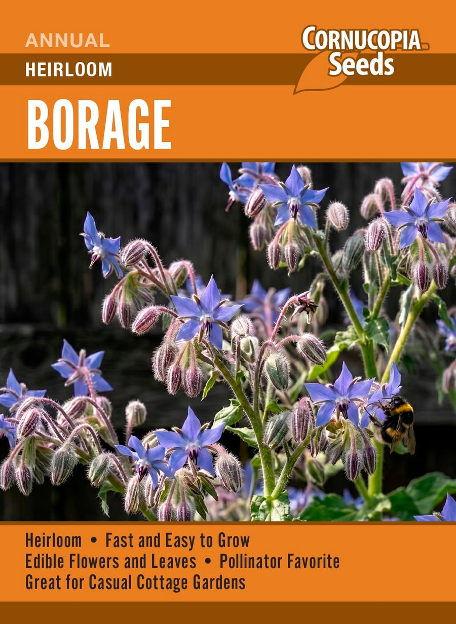 Visuel officiel de Cornucopia associé aux semences de Bourrache à fleurs bleues, référence CS380. Cette bourrache se sème directement en place, car sa racine pivotante supporte mal le repiquage. Les plantes peuvent se ressemer lorsque les graines mûrissent. Un éclaircissage laisse aux touffes l’espace nécessaire pour se développer. Cette image accompagne la fiche de cette sélection et permet de repérer le produit correspondant dans le catalogue de semences.