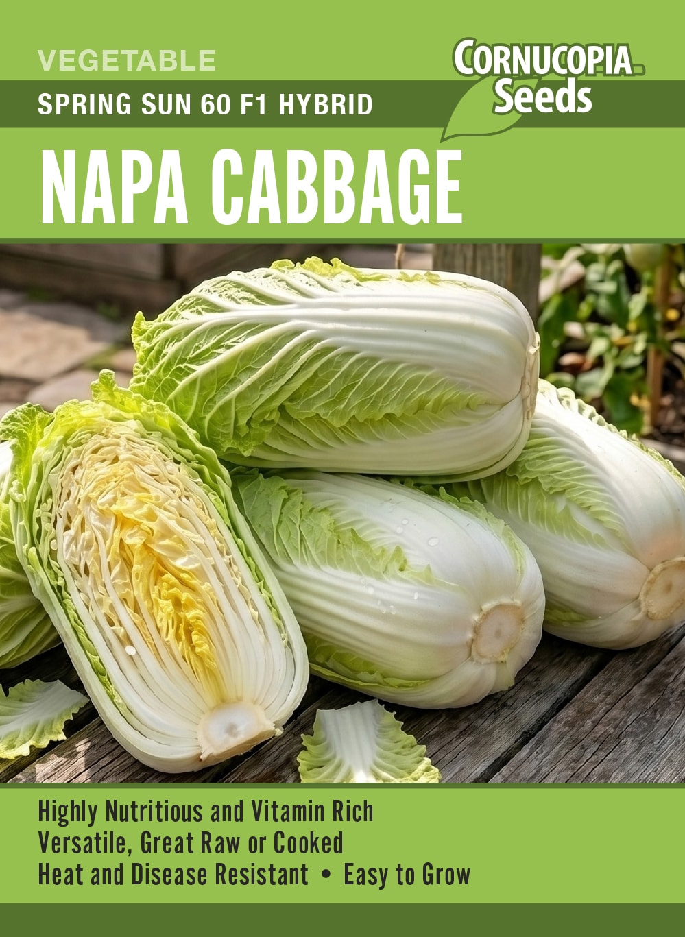 Visuel officiel de Cornucopia associé aux semences de Chou napa ‘Spring Sun’, référence CS381. Ce chou napa peut être commencé à l’intérieur puis repiqué après acclimatation, ou semé directement lorsque les conditions le permettent. Le semencier recommande un sol fertile et une exposition ensoleillée, avec suffisamment d’espace pour former la pomme.