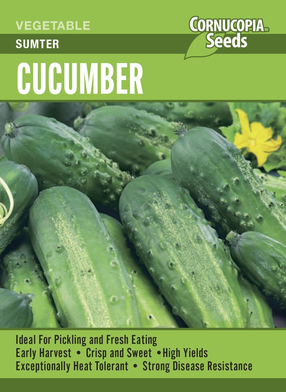 Visuel officiel de Cornucopia associé aux semences de Concombre ‘Sumpter’, référence CS386. Cette variété se cultive dans un sol fertile et régulièrement humide. Le semencier recommande de conduire les tiges sur un support pour faciliter la récolte. Les cueillettes fréquentes accompagnent la production de nouveaux fruits. Cette image accompagne la fiche de cette sélection et permet de repérer le produit correspondant dans le catalogue de semences.