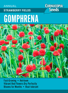 Visuel officiel de Cornucopia associé aux semences de Gomphréna ‘Strawberry Fields’, référence CS392. Cette sélection peut être semée directement après les gelées ou commencée à l’intérieur. Les jeunes plants demandent une bonne lumière. Le semencier recommande une plantation au soleil et un éclaircissage pour favoriser leur développement. Cette image accompagne la fiche de cette sélection et permet de repérer le produit correspondant dans le catalogue de semences.