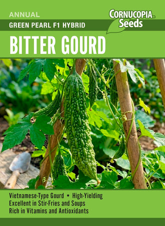 Visuel officiel de Cornucopia associé aux semences de Margose ‘Green Pearl’, référence CS394. Cette margose hybride se cultive sur un support dans un endroit chaud et ensoleillé. Les fruits se récoltent jeunes, fermes et vert brillant, avant de devenir jaunes ou orange. Le palissage facilite leur observation et leur cueillette.