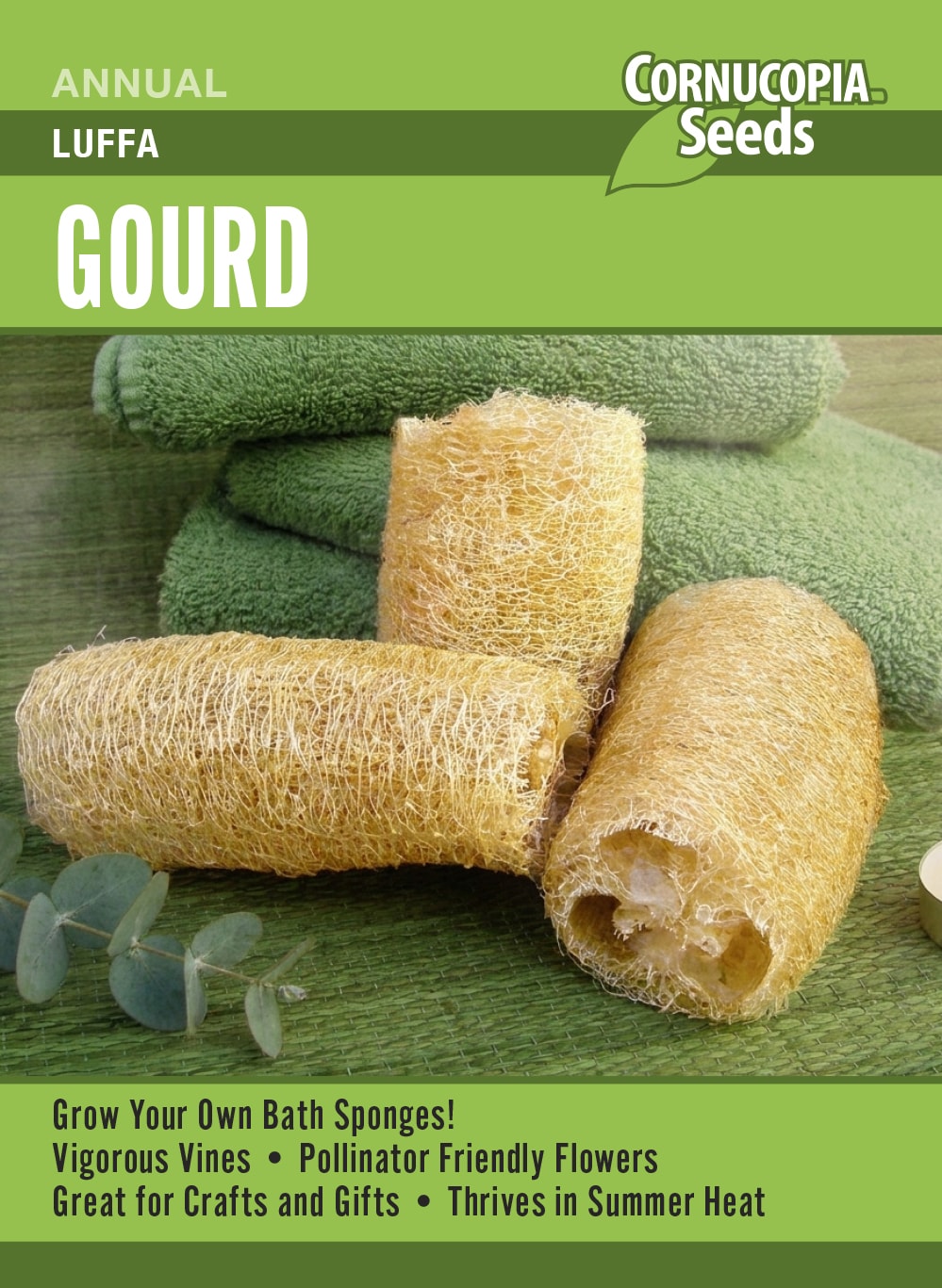 Visuel officiel de Cornucopia associé aux semences de Luffa, référence CS395. Les fruits peuvent être récoltés très jeunes pour la cuisine ou laissés à maturité pour obtenir des éponges végétales. Après maturation et séchage, la peau et les graines sont retirées. Un support solide facilite la culture de cette plante grimpante.