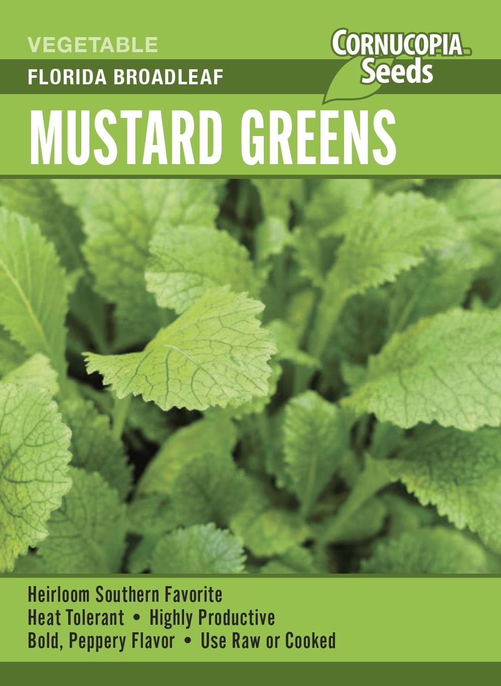 Visuel officiel de Cornucopia associé aux semences de Moutarde ‘Florida Broadleaf’, référence CS396. Cette moutarde se récolte feuille par feuille ou en coupant la plante. Les jeunes feuilles sont particulièrement tendres. Des semis échelonnés pendant les périodes favorables permettent de prolonger la récolte. Cette image accompagne la fiche de cette sélection et permet de repérer le produit correspondant dans le catalogue de semences.