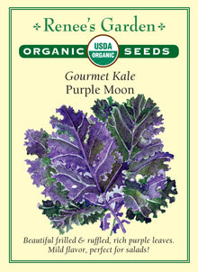Visuel officiel de Renee's Garden pour les semences « Chou frisé ‘Purple Moon’ », référence RN3992. Cette référence biologique produit des feuilles pourpre foncé, frisées et ondulées. Le semencier décrit une croissance vigoureuse et une période de récolte prolongée. La saveur est douce, avec une note rappelant la noisette. La couleur du feuillage permet de varier l’apparence d’une planche de choux-feuilles et celle des récoltes destinées aux salades ou aux cuissons rapides.