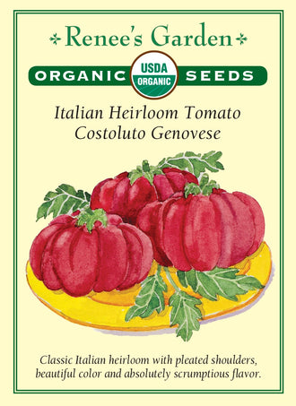 Visuel officiel de Renee's Garden pour les semences « Tomate ‘Costoluto Genovese’ », référence RN3993. Cette référence biologique italienne porte des tomates rouges, charnues et côtelées près du pédoncule. Le semencier décrit une chair tendre et juteuse. Les plants indéterminés sont hauts et vigoureux. Les fruits se récoltent lorsqu’ils ont développé leur couleur et leur texture, pour une utilisation fraîche ou en cuisine.