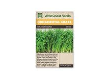 Sachet West Coast Seeds Orchard Grass montrant un semis dense de jeunes brins verts. Les feuilles longues et étroites s’entrecroisent au-dessus de petites bases pâles. Un peu de terre sombre est visible au bas de la photo. Aucune inflorescence n’apparaît; l’image met en valeur la croissance feuillée de cette graminée.