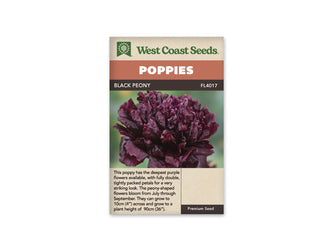 Sachet Black Peony de West Coast Seeds sur fond blanc. La photo montre une grosse fleur très double, aux pétales serrés de couleur pourpre sombre et bordeaux. Les plis créent des zones presque noires au cœur du pompon. Le fond vert est flou. Le bandeau orange indique Poppies et la bande brune Black Peony, code FL4017.