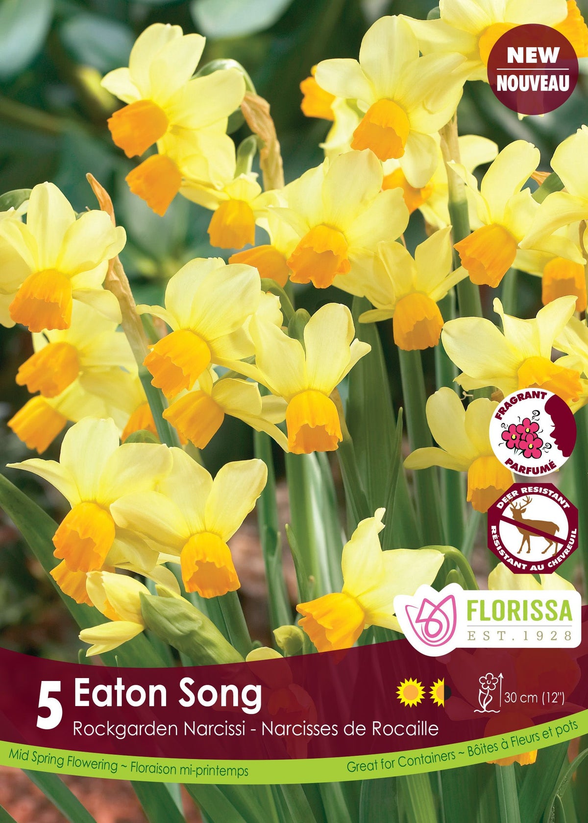 Narcisse Eaton Song ( Narcissus ) : des narcisses jaune pâle à petite couronne orange. Le visuel Florissa présente la plante et son nom dans la partie inférieure de l’étiquette. La photographie occupe presque toute la surface, tandis que le bandeau du bas rassemble les indications du produit. Cette vue permet de reconnaître son apparence et de distinguer la variété présentée.