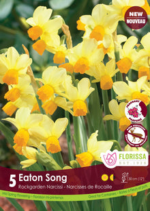 Narcisse Eaton Song ( Narcissus ) : des narcisses jaune pâle à petite couronne orange. Le visuel Florissa présente la plante et son nom dans la partie inférieure de l’étiquette. La photographie occupe presque toute la surface, tandis que le bandeau du bas rassemble les indications du produit. Cette vue permet de reconnaître son apparence et de distinguer la variété présentée.