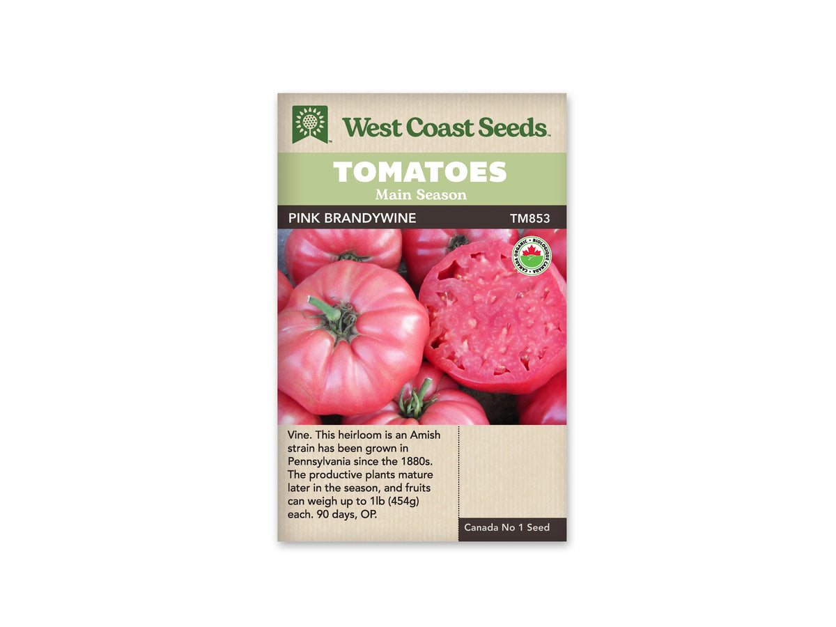 Sachet West Coast Seeds portant les mentions Tomatoes, Main Season et Pink Brandywine. La photo montre de grosses tomates roses aux épaules côtelées, avec des pédoncules verts, et un fruit coupé qui révèle la chair. Un logo biologique rond apparaît à droite. Le nom et le code TM853 sont placés sous les bandeaux verts.
