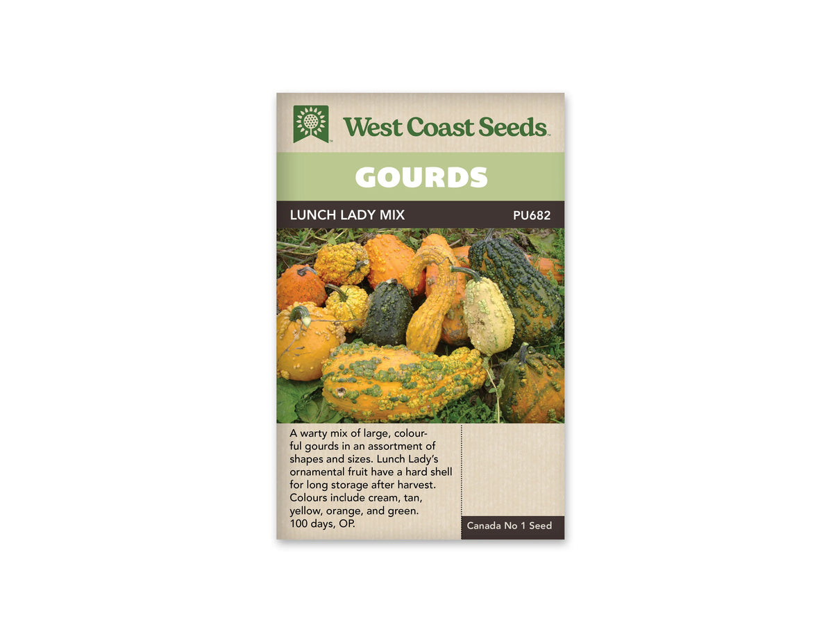 Sachet Lunch Lady Mix de West Coast Seeds avec une bande vert pâle et le nom sur fond sombre. La photo montre de grosses courges couvertes de bosses, dans des tons jaune, orange, crème et vert foncé, posées parmi des feuilles. Les formes sont variées. Une zone beige avec du texte occupe le bas du sachet.