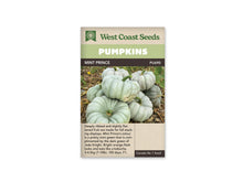 Sachet Mint Prince de West Coast Seeds avec un bandeau vert pâle et le nom sur fond brun. Plusieurs citrouilles vert gris très pâle sont empilées au sol. Elles sont aplaties, avec de grosses côtes et des pédoncules verts. Des tiges et des feuilles entourent les fruits. Le bas du sachet contient du texte sur fond beige.