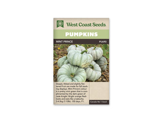Sachet Mint Prince de West Coast Seeds avec un bandeau vert pâle et le nom sur fond brun. Plusieurs citrouilles vert gris très pâle sont empilées au sol. Elles sont aplaties, avec de grosses côtes et des pédoncules verts. Des tiges et des feuilles entourent les fruits. Le bas du sachet contient du texte sur fond beige.