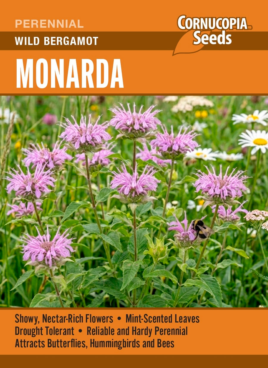 Visuel officiel de Cornucopia associé aux semences de Monarde fistuleuse, référence CS403. Le semencier recommande un semis pendant les périodes fraîches ou une stratification humide au froid avant un démarrage à l’intérieur. Les jeunes plants sont ensuite espacés pour permettre leur développement. Les fleurs apportent de la hauteur aux plantations.