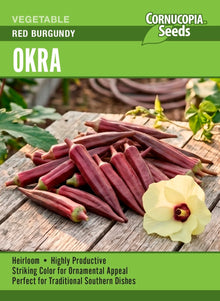 Visuel officiel de Cornucopia associé aux semences de Gombo ‘Red Burgundy’, référence CS404. Le semencier recommande de commencer cette culture à l’intérieur et de maintenir les jeunes plants au chaud. Les gousses se cueillent régulièrement, autour de 10 à 15 cm (4 à 6 po), pour accompagner la production. Cette image accompagne la fiche de cette sélection et permet de repérer le produit correspondant dans le catalogue de semences.