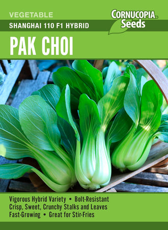 Visuel officiel de Cornucopia associé aux semences de Pak-choï ‘Shanghai’, référence CS405. Ce pak-choï se cultive au printemps ou en fin d’été, pendant les périodes fraîches. Le semencier recommande un sol fertile et un éclaircissage permettant aux plantes de former des rosettes bien développées. Cette image accompagne la fiche de cette sélection et permet de repérer le produit correspondant dans le catalogue de semences.