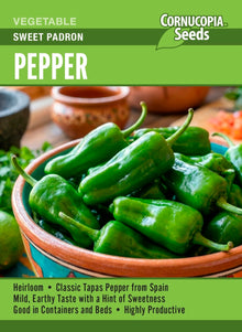 Visuel officiel de Cornucopia associé aux semences de Piment ‘Padron’, référence CS409. Cette sélection de piment est destinée à la culture pendant la saison chaude. Les fruits peuvent atteindre une coloration rouge à maturité. Les jeunes plants demandent de la chaleur et une bonne lumière avant leur installation au jardin.
