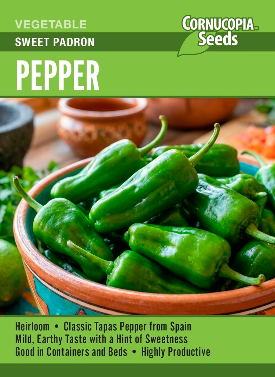 Visuel officiel de Cornucopia associé aux semences de Piment ‘Padron’, référence CS409. Cette sélection de piment est destinée à la culture pendant la saison chaude. Les fruits peuvent atteindre une coloration rouge à maturité. Les jeunes plants demandent de la chaleur et une bonne lumière avant leur installation au jardin.