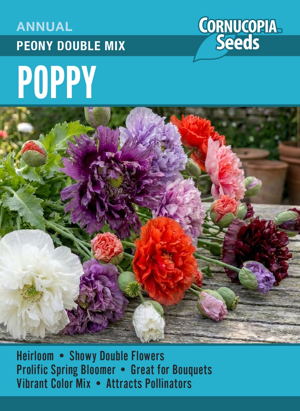 Visuel officiel de Cornucopia associé aux semences de Pavot double Peony Double Mix, référence CS411. Ce mélange de pavots doubles se sème directement en place pendant la fraîcheur printanière. Le semencier recommande de maintenir le semis humide et d’éclaircir les jeunes plants. Les plantes peuvent se ressemer. Cette image accompagne la fiche de cette sélection et permet de repérer le produit correspondant dans le catalogue de semences.
